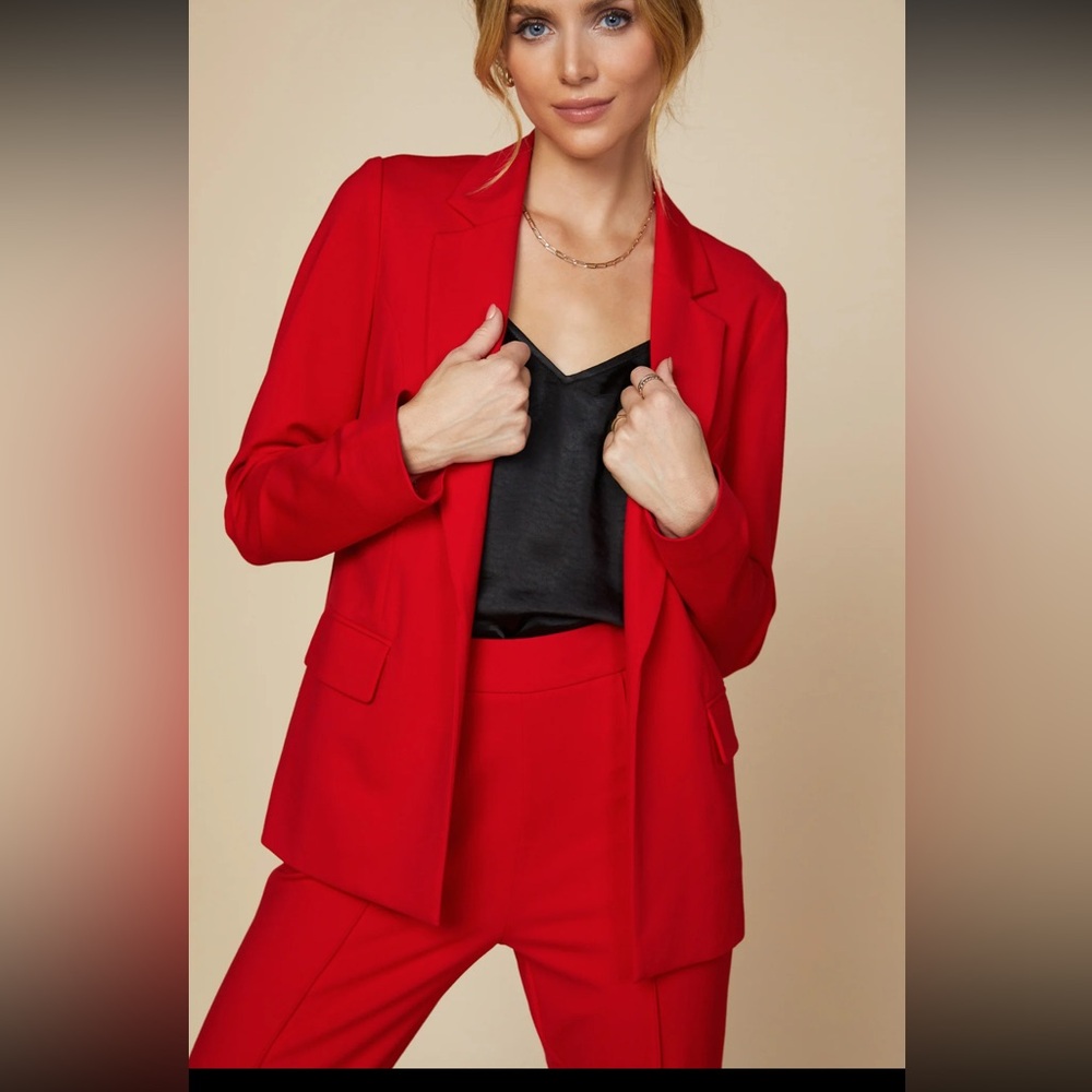 Skies are blue red knit blazer - small